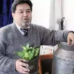 Властелин колец