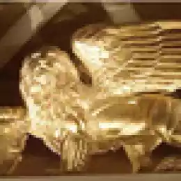 Жесть доброй воли