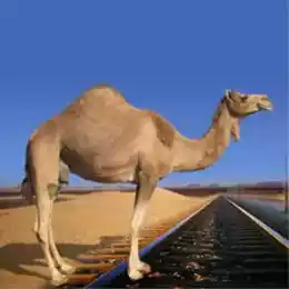 Соединить Мекку с Мединой