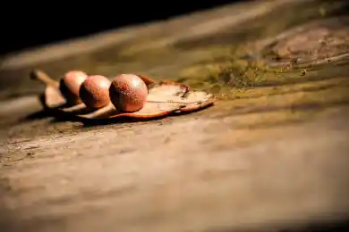 Казахстан является привлекательным для инвестиций - Ernst & Young