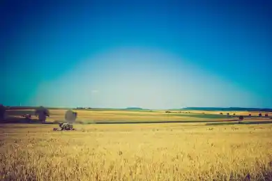 Казахстан реанимировал ОБСЕ