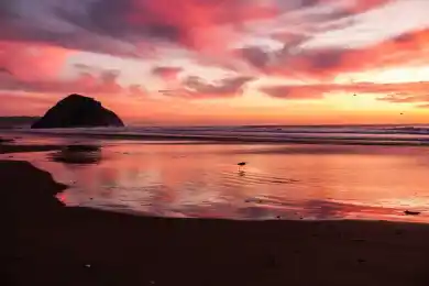 Назарбаев объявил девиз председательства Казахстана в ОБСЕ