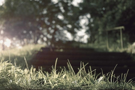 ЛаКутюр: АХЛ – не мой уровень