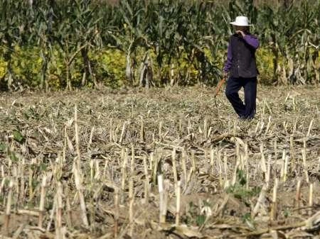 Контрреволюция в китайской деревне