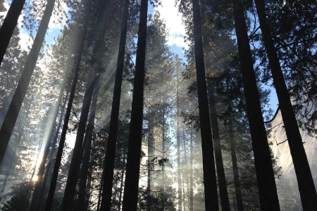 Абрамович дошел до Казахстана