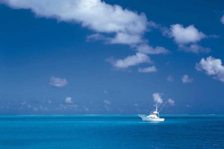 Китайский госфонд CIC купил 11% РД КазМунайгаз