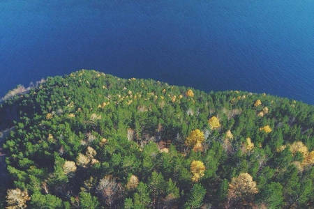 Главная ставка - Малиновская