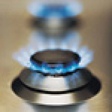 Мудрый Змей по прозвищу Жара