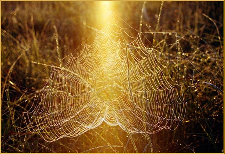 KAZNET в действии