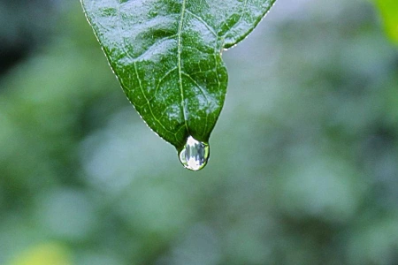 Сергей Дьяченко  назначен акимом Акмолинской области