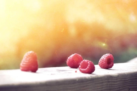 КНБ отрицает заказ в деле Мухтара Джакишева