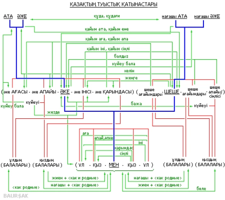 Схема казахских родственных связей: