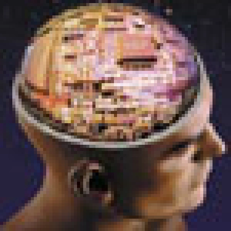 Программа-максимум