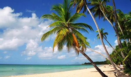 Отпуск им только снится