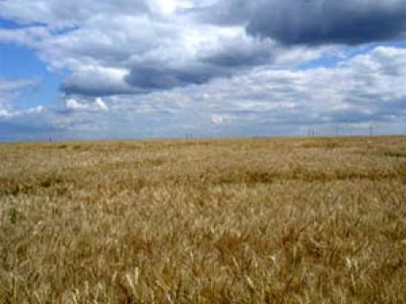 В Казахстане был принят "Земельный кодекс"