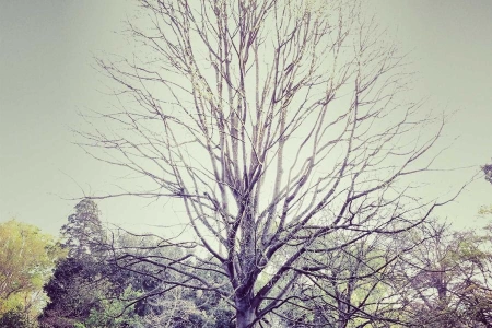 Генсек ООН подписал декларацию о сотрудничестве с ОДКБ