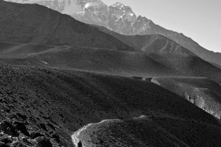 Без индексации