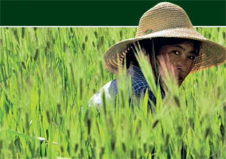 Смычка города и деревни