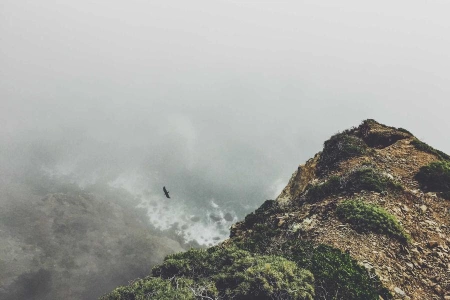 Добрались до Microsoft