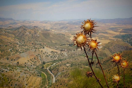 Казахстан готов разместить на своей территории банк ядерного топлива
