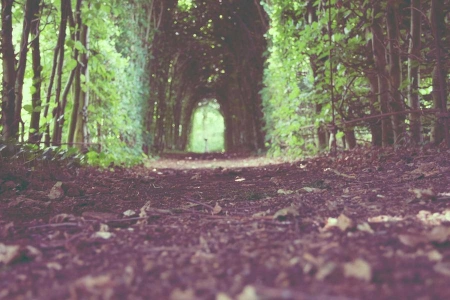 Покупка БТА Банка негативно скажется на акциях Сбербанка