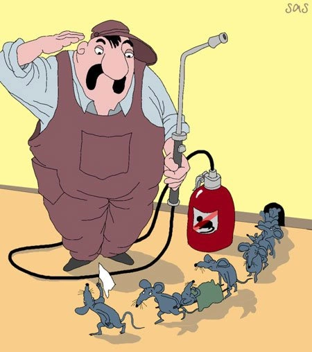 Евросоюз чижика съел