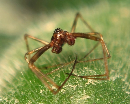 Аксакал самопознания