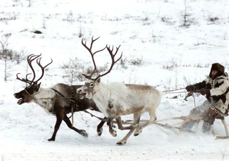 Недра становятся ближе