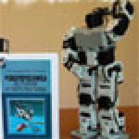 ВИДЕО: Любовь роботов