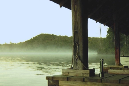 Живущие в Cети