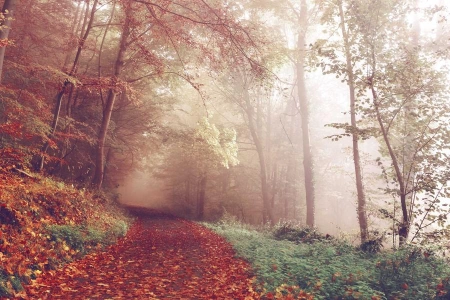 Хозяин - барин!