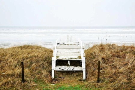 Геннадий Головкин одержал очередную победу на профессиональном ринге