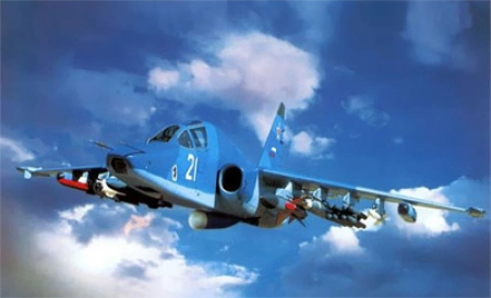 Су-25 против Кондолизы Райс