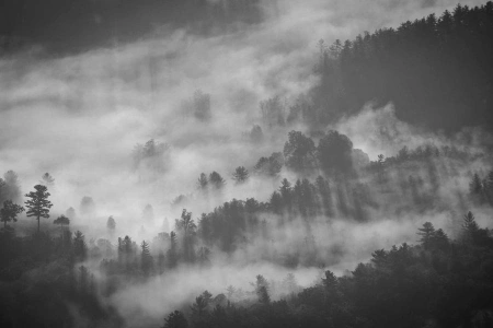 Ветер перемен