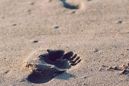 Разделение социальной ответственности