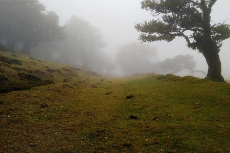 В Казахстане будут производиться электронные книги и планшетные компьютеры