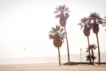 Спекулянты пугают уходом