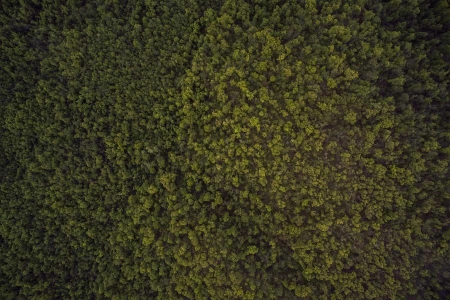 "КазМунайГаз" может купить пакет ВР