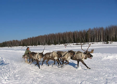 Кремль крадет газ у коренных народов