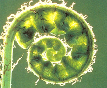 Природа отдыхает