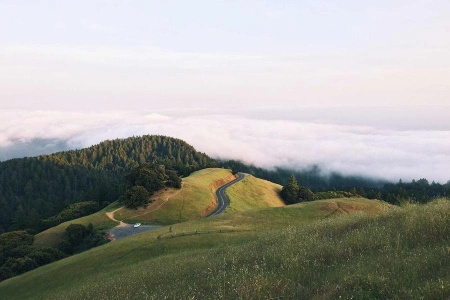 Германия отказалась от электронного голосования