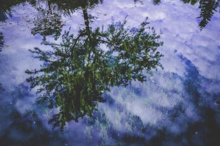 Астана-трофи