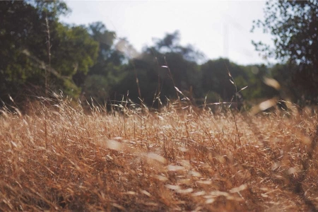 G7 призвала к срочной реформе мировой финансовой системы