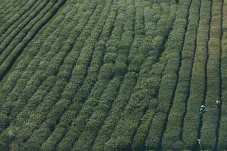 Назарбаев припомнил Путину спутник "KazSat"