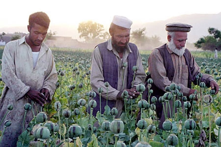 Афганские изыски Вашингтона