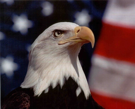 Кремлевские неоконы-реалисты