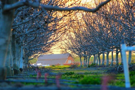 Иностранные банки в РК набирают новых сотрудников