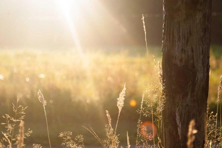 «Барыс» потерял Летовски