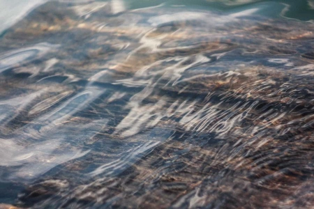 Назарбаев предложил ФРГ развернуть в республике производство автомобилей