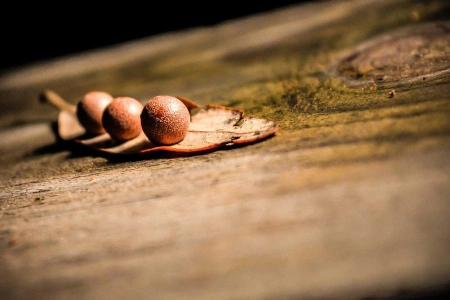 Казахстан является привлекательным для инвестиций - Ernst & Young